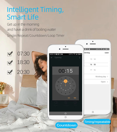 Smart Home Wifi Wireless Switch BASIC Smart Switch Module Smart Life APP Wireless Voice Remote Control Timer Switch Alexa