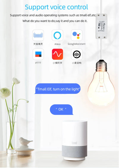 Smart Home Wifi Wireless Switch BASIC Smart Switch Module Smart Life APP Wireless Voice Remote Control Timer Switch Alexa